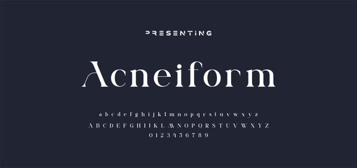 premium luxury elegant alphabet letters and numbers. Elegant wedding typography classic serif font decorative vintage retro. Creative vector illustration