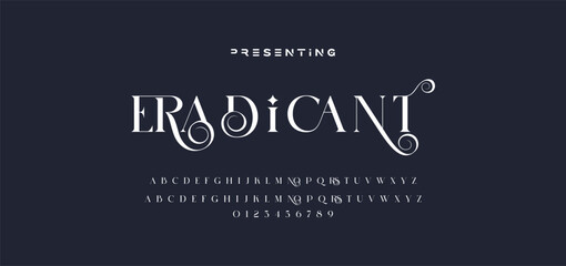 premium luxury elegant alphabet letters and numbers. Elegant wedding typography classic serif font decorative vintage retro. Creative vector illustration