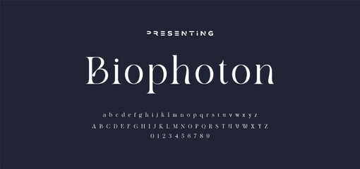 premium luxury elegant alphabet letters and numbers. Elegant wedding typography classic serif font decorative vintage retro. Creative vector illustration