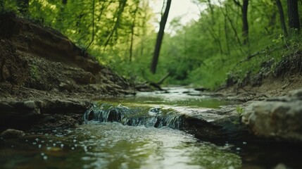 Naklejka premium Serene Forest Stream Cascading Over Rocks