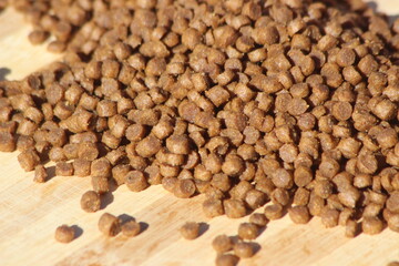 Dried Cat Food Close-up