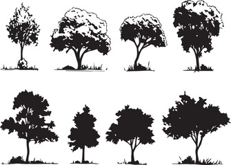 A set of tree silhouettes for flat design. Hand drawn vector illustration