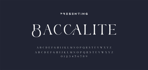 Premium luxury elegant alphabet letters and numbers. Elegant wedding typography classic serif font decorative vintage retro. Creative vector illustration