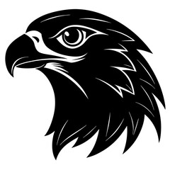 eagle head vector illustration
