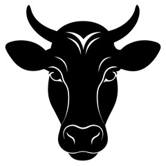 bull isolated on white