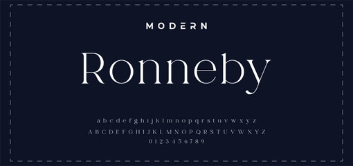 Premium luxury elegant alphabet letters and numbers. Elegant wedding typography classic serif font decorative vintage retro. Creative vector illustration