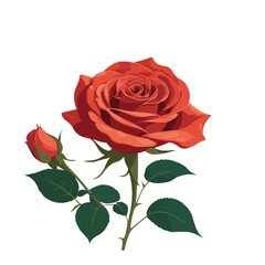 Intricate Rose Vector Graphic