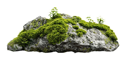 Rock covered with moss on transparent background