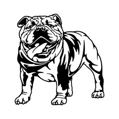 American Bully Dog Breed - Pet Vector Cut file, Dog Silhouette Stencil - Cricut file