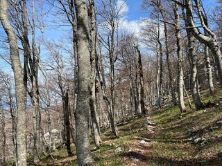 Obraz premium Premuzic hiking trail or Premuzic Trail - Northern Velebit National Park, Croatia or Premuzic-Wanderweg or Premuzic's Trail (Pješački planinarski put Premužićeva staza - NP Sjeverni Velebit)