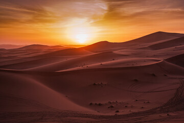sunset in the desert