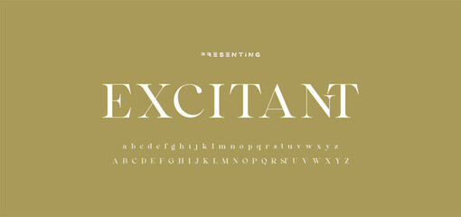 Elegant ligature alphabet letters font logo. Typography luxury classic lettering serif fonts decorative wedding vintage retro logos, design for fashion,beauty shop and brand . vector illustration