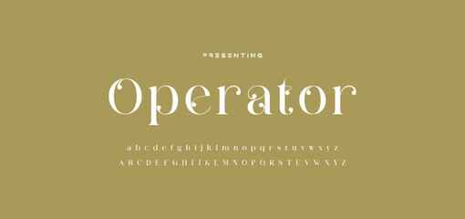 Luxury wedding alphabet letters font with tails. Typography elegant classic serif fonts and number decorative vintage retro concept for logo branding. vector illustration