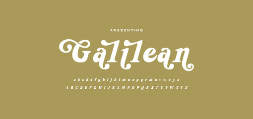 Luxury wedding alphabet letters font with tails. Typography elegant classic serif fonts and number decorative vintage retro concept for logo branding. vector illustration