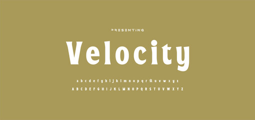 Luxury wedding alphabet letters font with tails. Typography elegant classic serif fonts and number decorative vintage retro concept for logo branding. vector illustration