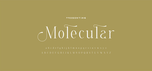 Luxury wedding alphabet letters font with tails. Typography elegant classic serif fonts and number decorative vintage retro concept for logo branding. vector illustration