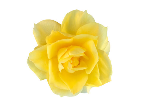 0_ff61e299b43da93b1538e66a0bee