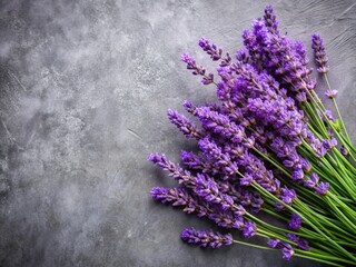Fototapeta premium Fresh Purple Lavender Flowers on Gray Textured Background - Stock Photo