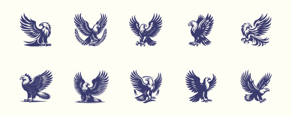 Set of bald eagle, silhouette, vector illustration