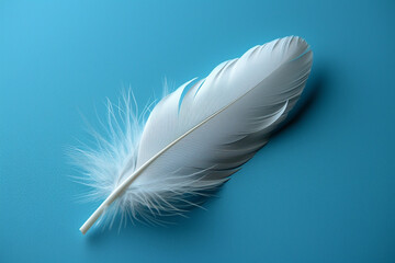 Obraz premium Elegant White Feather on a Teal Background
