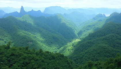 Nature, environment, mountains, jungle, green, scenery, panoramic, expansive, wide terrain with lush green jungluu