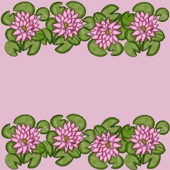 flower, lotus, nature, pink, water, plant, lily, leaf, pond, blossom, flowers, bloom, flora, summer, purple, waterlily, beauty, garden, water lily