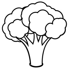 Fresh Broccoli Vector Illustration