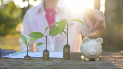 Investment Growth Planting Seeds of Financial Success Outdoors Photograph Natural Light Close-Up Green Concept