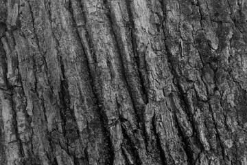 Obraz premium texture of rock or rock formation in gray tones with pronounced relief