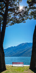 Bank am Ufer in Brissago am Lago Maggiore im Mai