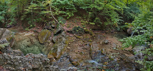 Russia, Republic of Crimea. View of the Ulu-Uzen riverbed in the shade of the rocky thickets of the mountain gorge of the Haphalsky hydrological reserve.