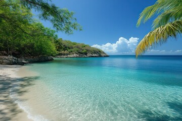 A secluded cove with clear blue waters and palm trees swaying in the breeze, the cove peaceful and perfect for a quiet retreat.