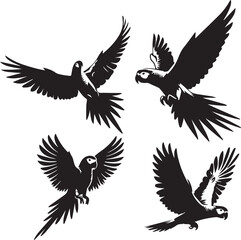 set of affrican gray parrot flying poses,black and white parrot, African gray parrot illustration