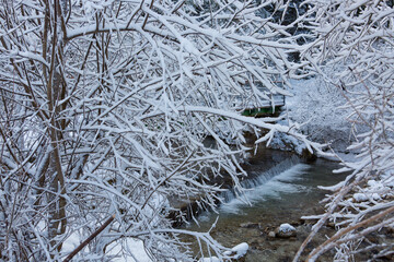 Winter landscape with snow covered trees and river.