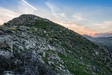 mountain, mountains, algeria, africa, landscape, nature, sky, panorama, outdoor, peak, hill, background, scenery, view, travel, rock, forest, valley, beautiful, hiking, adventure, scenic, tourism.