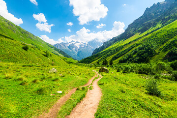 Beautiful high mountain landscape with a walking path, pine trees and a mountain peak in the background. Caucasus, Elbrus region.