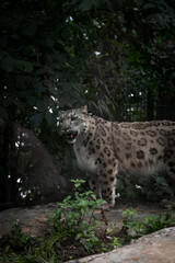 Finland, Helsinki. Korkeasaari, Zoo