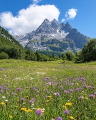 Alpine Meadow Wildflowers Majestic Mountain Peak Summer Landscape
