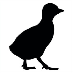 Farm Animal Duck Silhouette Vector Illustration