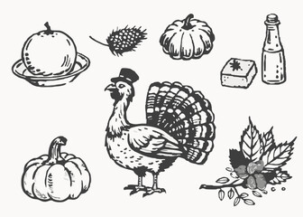 Happy Thanksgiving day doodle sketch element vector set isolated on transparent background