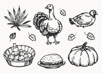 Happy Thanksgiving day doodle sketch element vector set isolated on transparent background