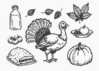 Happy Thanksgiving day doodle sketch element vector set isolated on transparent background