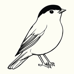 Bird Line Art Drawing Elegant and Simple Bird Sketches for Nature, Art, and Creative Design