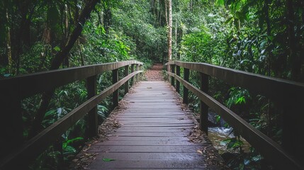 Fototapeta premium Serene Jungle Bridge: A Pathway Through Lush Greenery