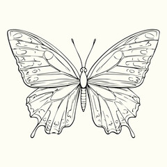 Butterfly Line Art Drawing Elegant and Detailed Butterfly Sketch for Artistic and Nature-Inspired Designs