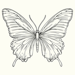 Butterfly Line Art Drawing Elegant and Minimalist Butterfly Sketches for Art, Design, and Nature-Inspired Projects