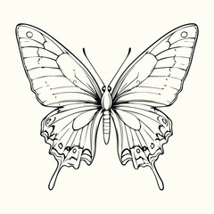 Butterfly Line Art Drawing Elegant and Minimalist Butterfly Sketches for Art, Design, and Nature-Inspired Projects