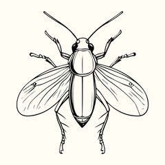 Black and White Bee Drawing Detailed Sketch of a Honey Bee for Nature Art and Design