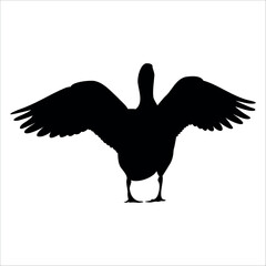 Farm Animal Duck Silhouette Vector Illustration