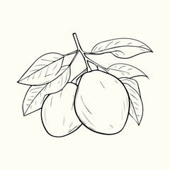 Black and White Bee Drawing Detailed Sketch of a Honey Bee for Nature Art and Design